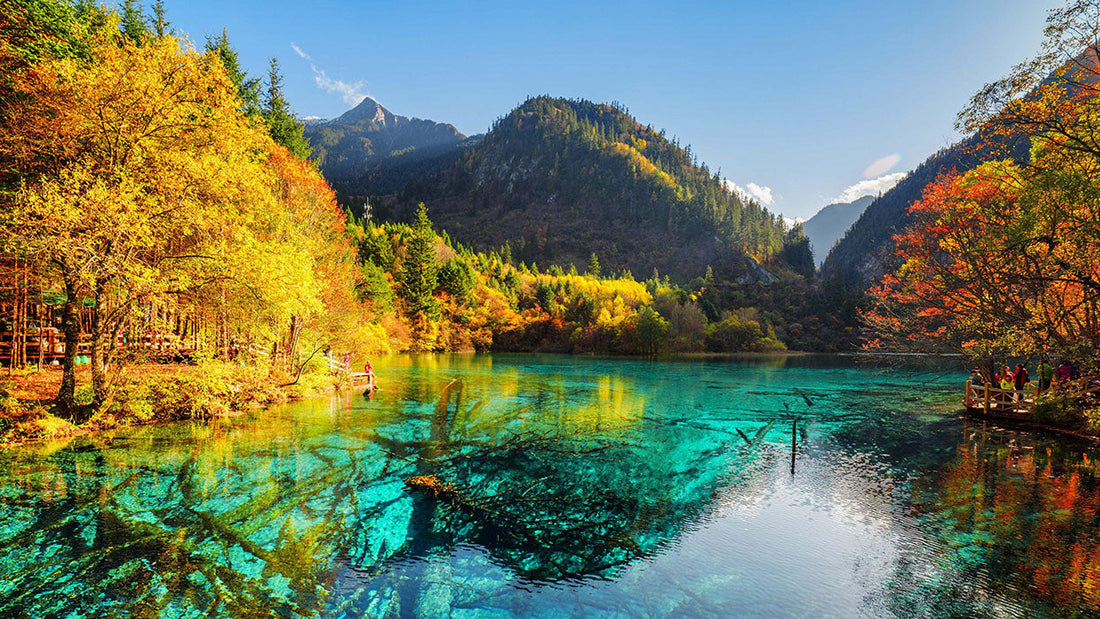 Sichuan Travel Guide: Pandas, Spicy Food & Breathtaking Scenery