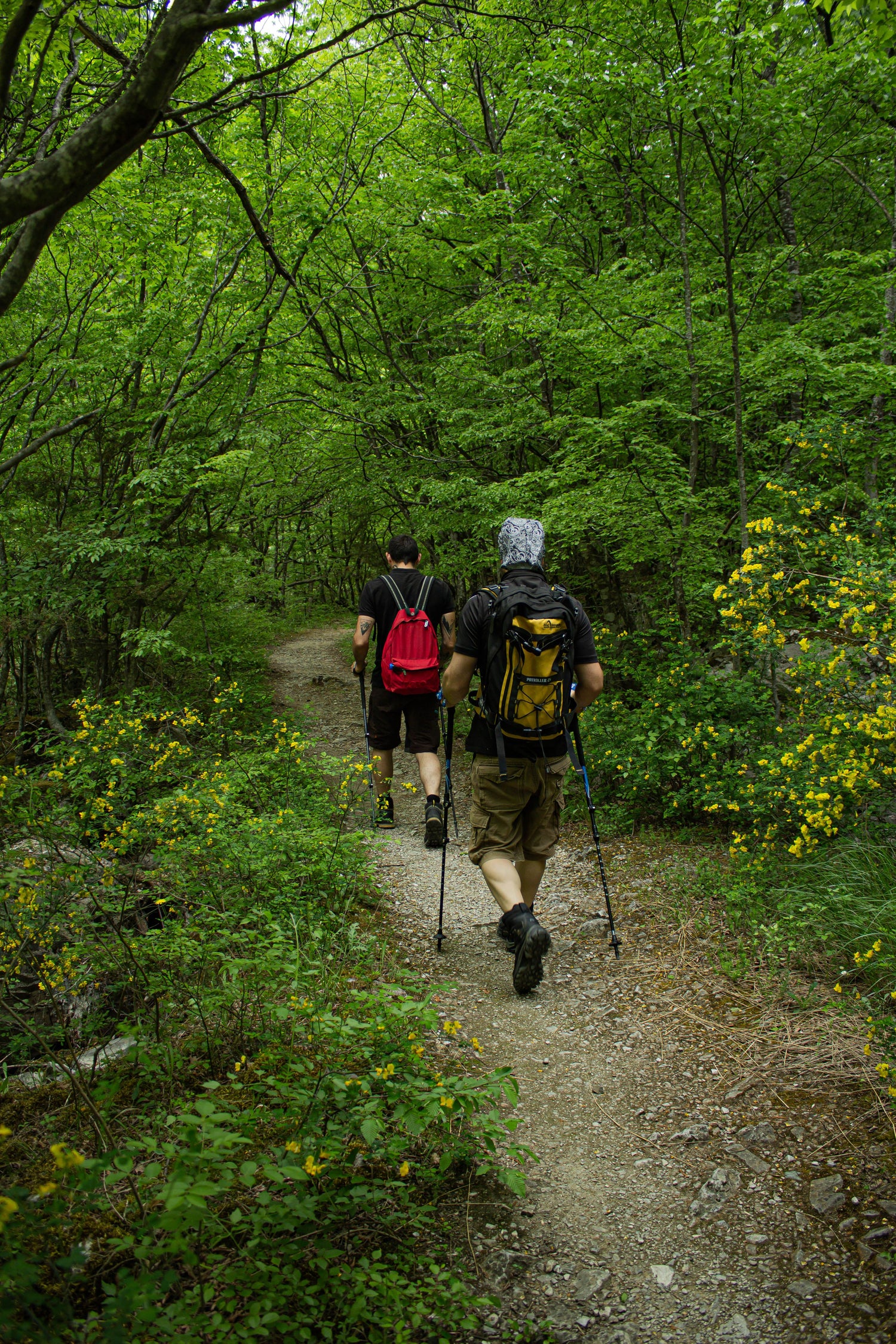 Hiking