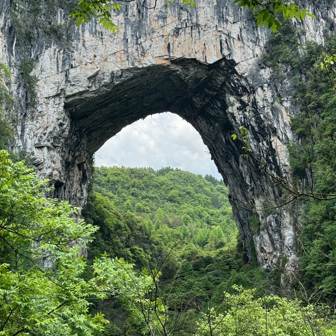 Lo más destacado de la excursión privada de un día al Valle de Binglang de Zhangjiajie