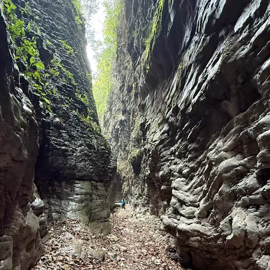 1-Day Zhangjiajie Binglang Valley Private Hiking Highlights