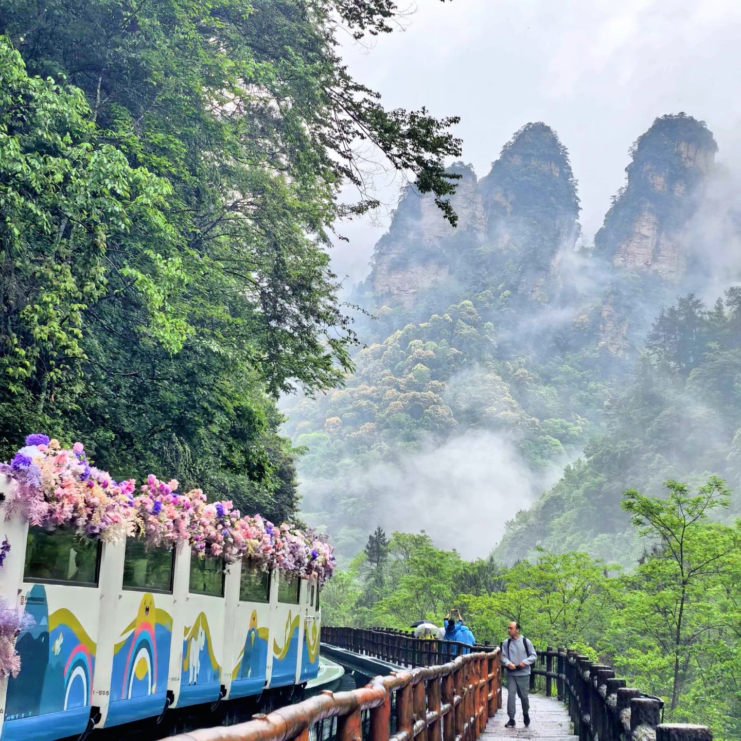 [14 Days 13 Nights] Sichuan, Chongqing & Hunan Splendid Mountains and Rivers — Chengdu, Chongqing & Zhangjiajie 14-Day Tour  Hometown of the pandas  Customized Tour