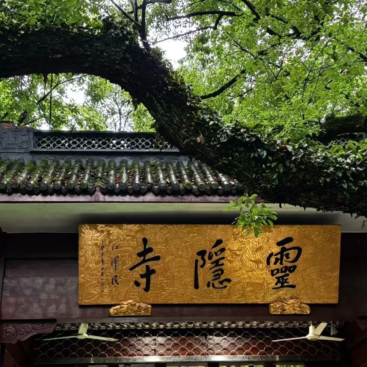 20-Day 19-Night Mountain-Sea Twin Cities & Ancient-Modern China Panoramic Roaming: Guangzhou, Shenzhen, Zhangjiajie, Shanghai, Suzhou, Hangzhou, Xi'an & Beijing