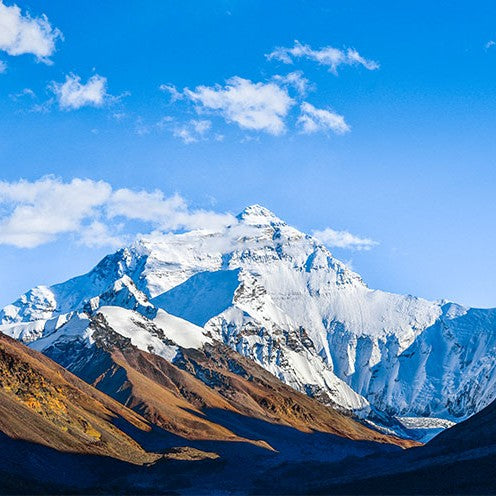 19-Day 18-Night China Roaming Tour: Beijing, Xi'an, Zhangjiajie, Chengdu, Tibet & Shanghai