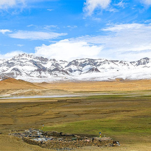 19-Day 18-Night China Roaming Tour: Beijing, Xi'an, Zhangjiajie, Chengdu, Tibet & Shanghai