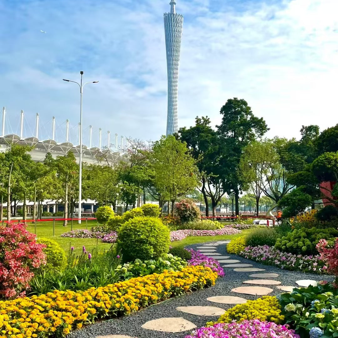 4-Day 3-Night Guangzhou & Shenzhen Premier Tour | Old Town Vibe & Coastal Scenery | Ultimate Highlights Unlocked All-in-One