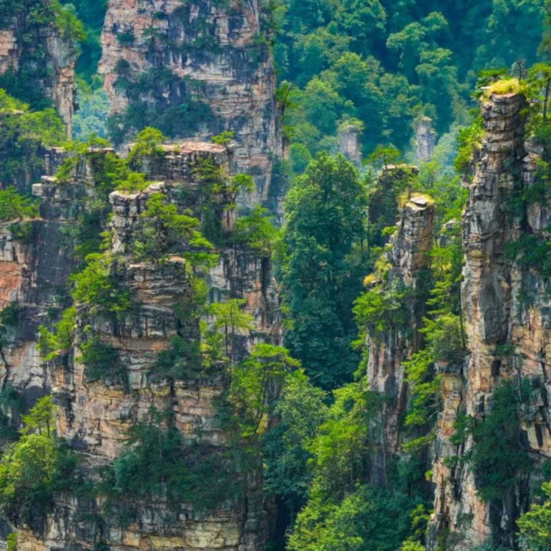 8-Day 7-Night Western Hunan Premier Tour: Zhangjiajie Peaks, Furong Waterfall Town & Fenghuang Ancient Town All-in-One
