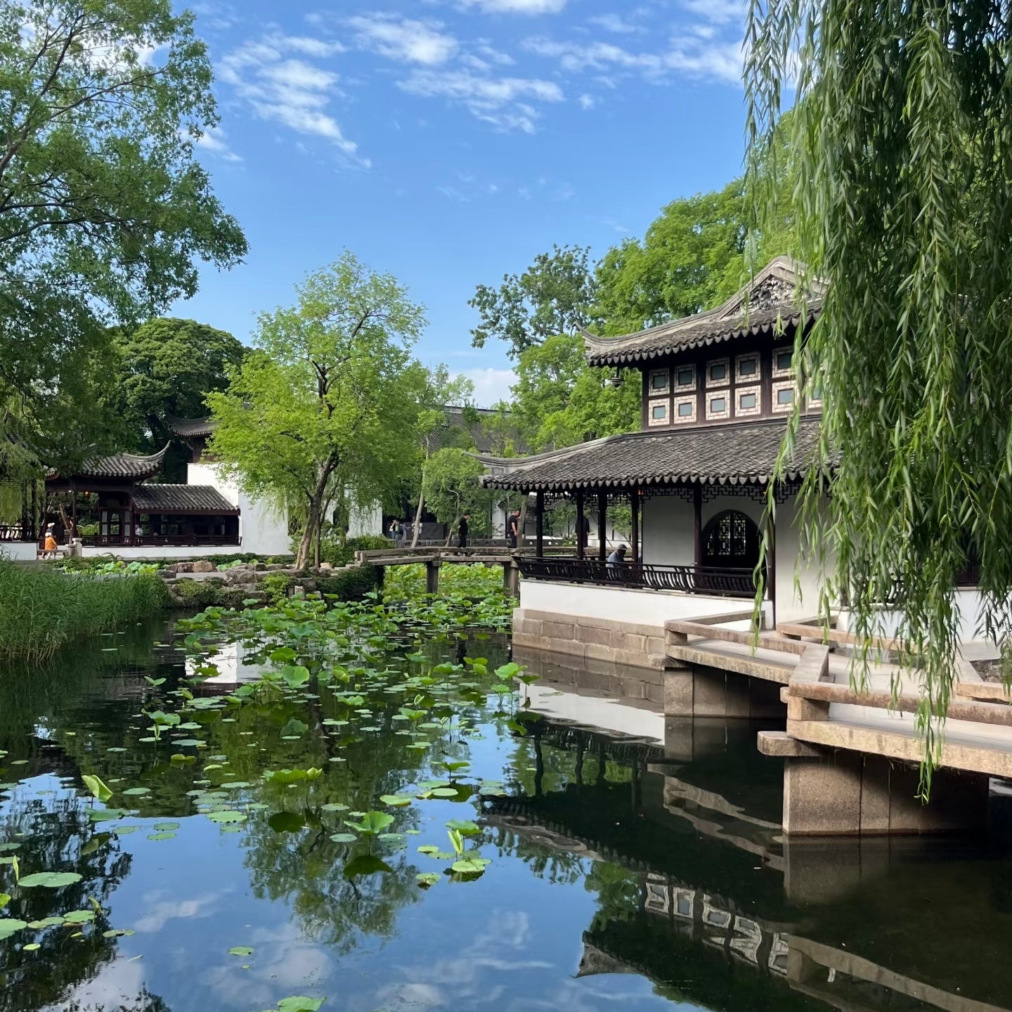 6 Days 5 Nights - Shanghai, Suzhou, Hangzhou Tour: Roaming Poetry-Like Jiangnan Multi-City Aesthetics via High-Speed Rail