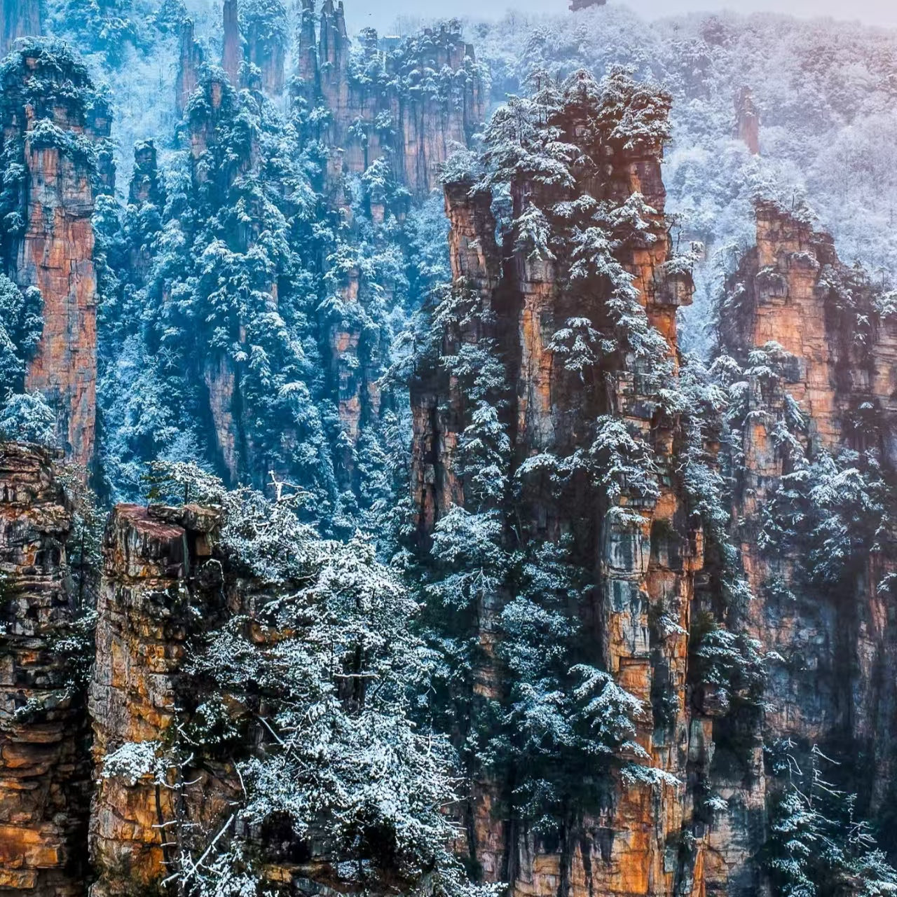 8-Day 7-Night Western Hunan Premier Tour: Zhangjiajie Peaks, Furong Waterfall Town & Fenghuang Ancient Town All-in-One
