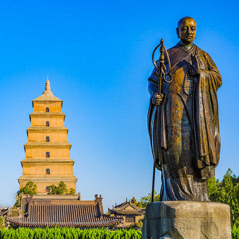 19-Day 18-Night China Roaming Tour: Beijing, Xi'an, Zhangjiajie, Chengdu, Tibet & Shanghai