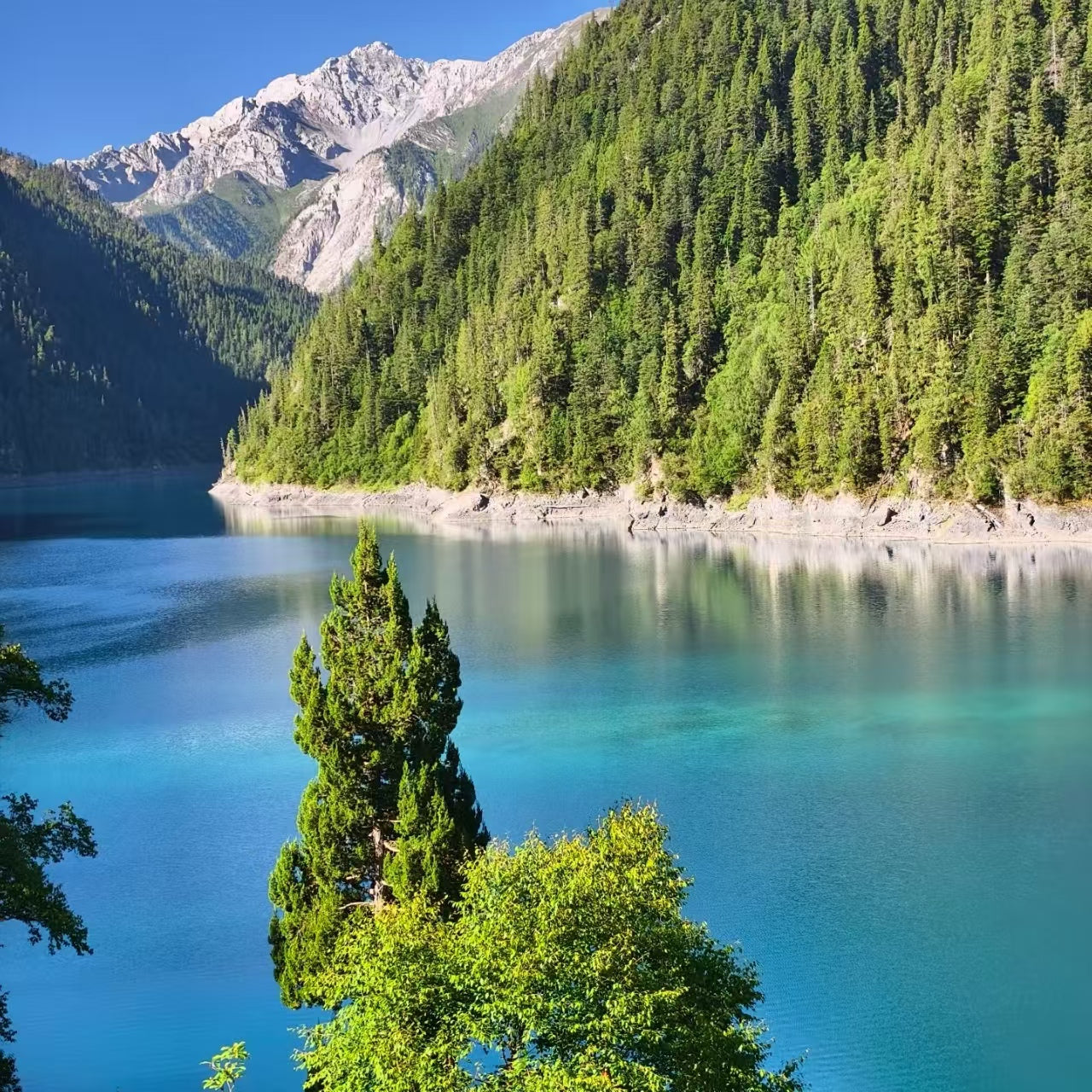 9 Days 8 Nights | Departing from Chengdu to Chongqing's Mountain City! Experience Sichuan and Chongqing's Two Major Trendy Metropolises