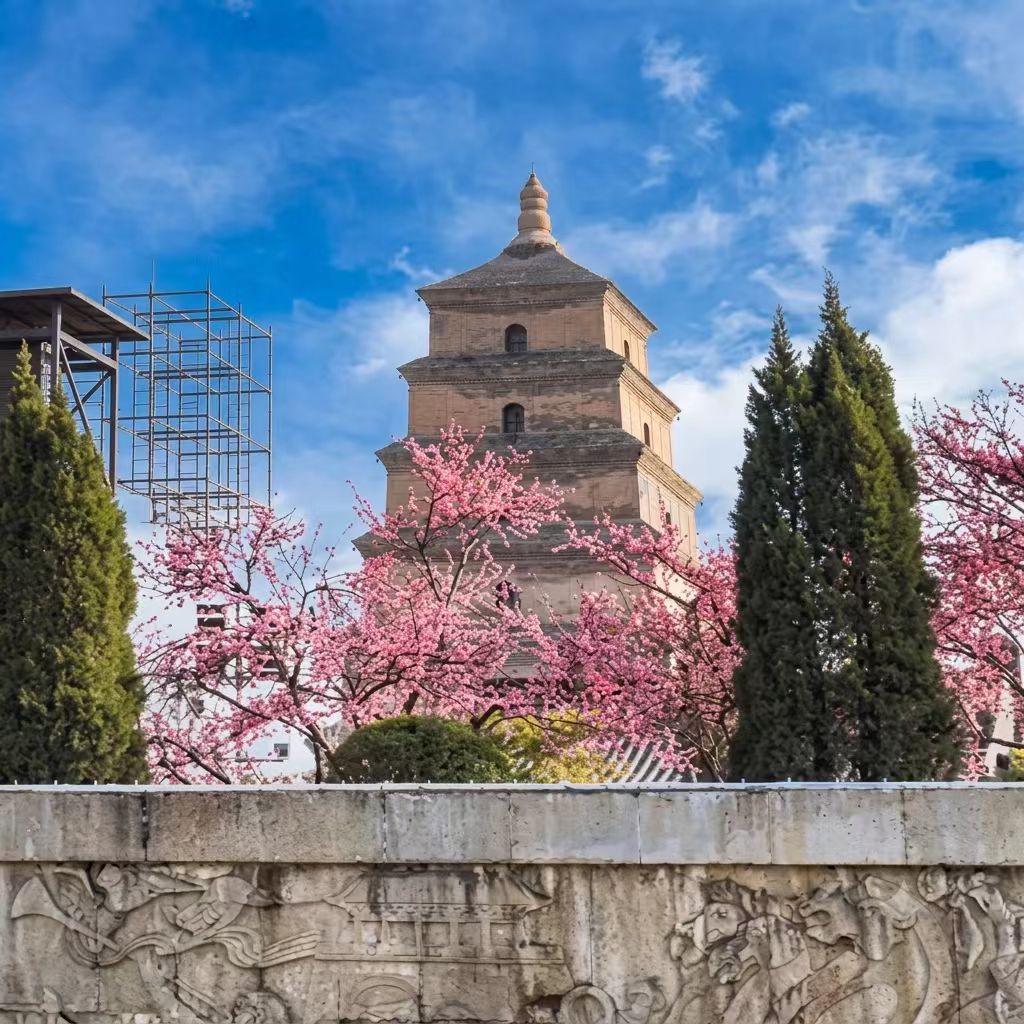 19-Day 18-Night China Roaming Tour: Beijing, Xi'an, Zhangjiajie, Chengdu, Tibet & Shanghai