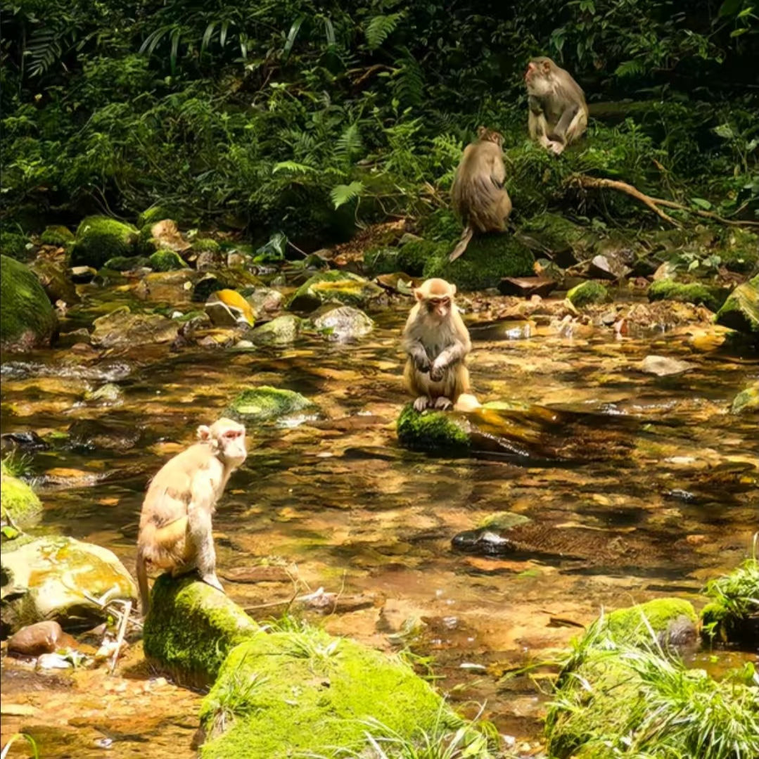 8-Day 7-Night Western Hunan Premier Tour: Zhangjiajie Peaks, Furong Waterfall Town & Fenghuang Ancient Town All-in-One