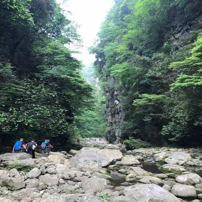 6 Days 5 Nights - Zhangjiajie Popular Tour: Immersive Unlock of World-Class Peak Forest Wonderland!