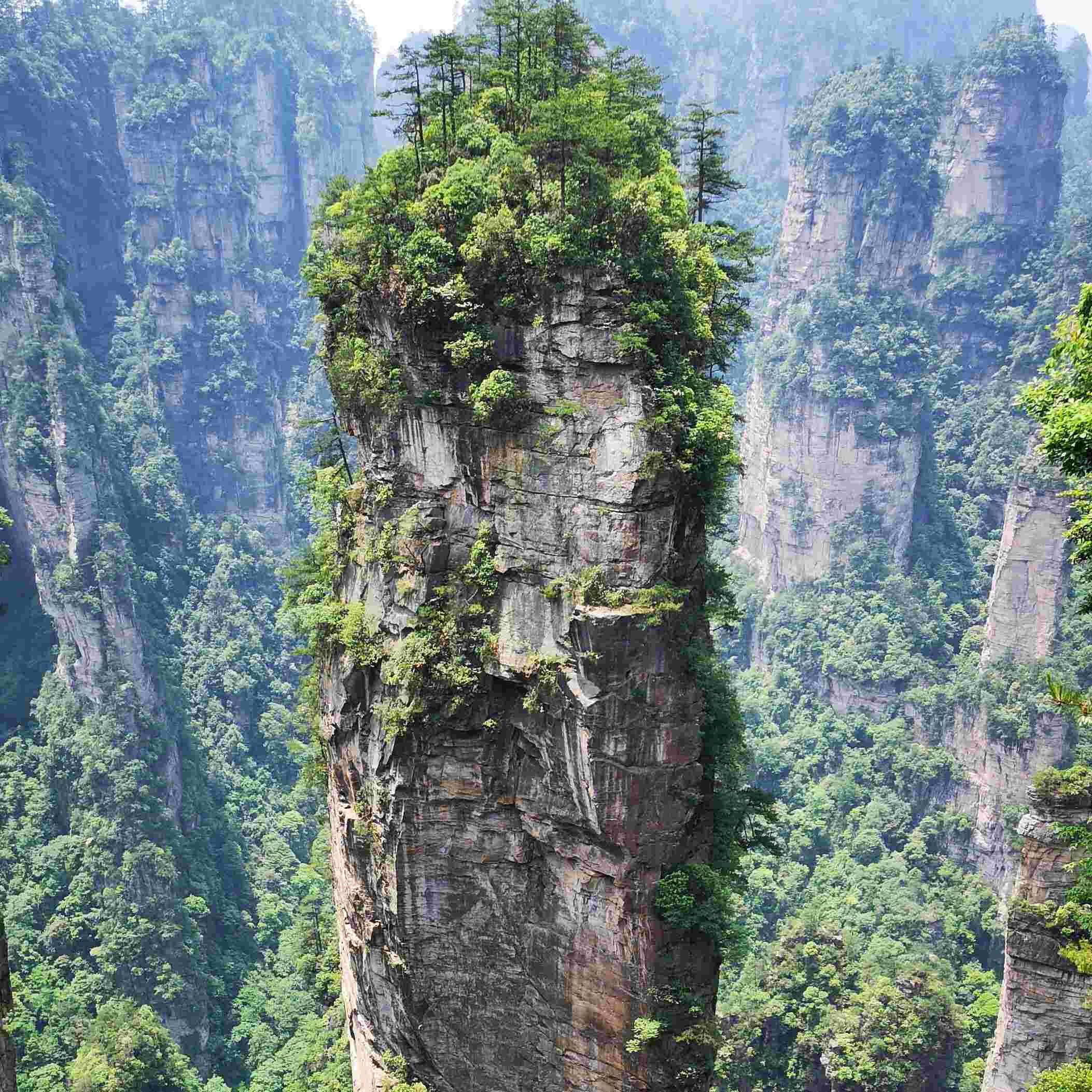 19-Day 18-Night China Roaming Tour: Beijing, Xi'an, Zhangjiajie, Chengdu, Tibet & Shanghai