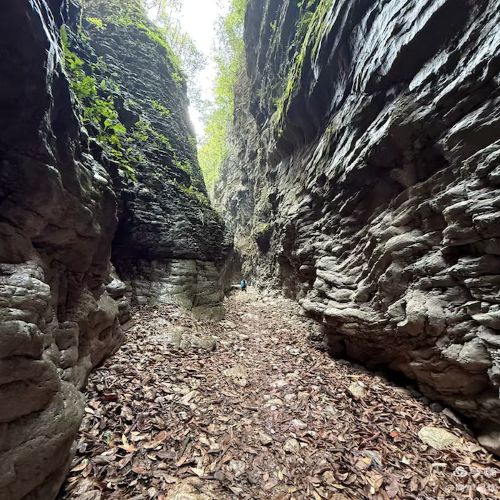 19-Day 18-Night China Roaming Tour: Beijing, Xi'an, Zhangjiajie, Chengdu, Tibet & Shanghai
