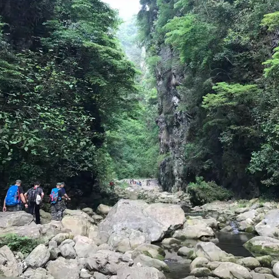 Lo más destacado de la excursión privada de un día al Valle de Binglang de Zhangjiajie