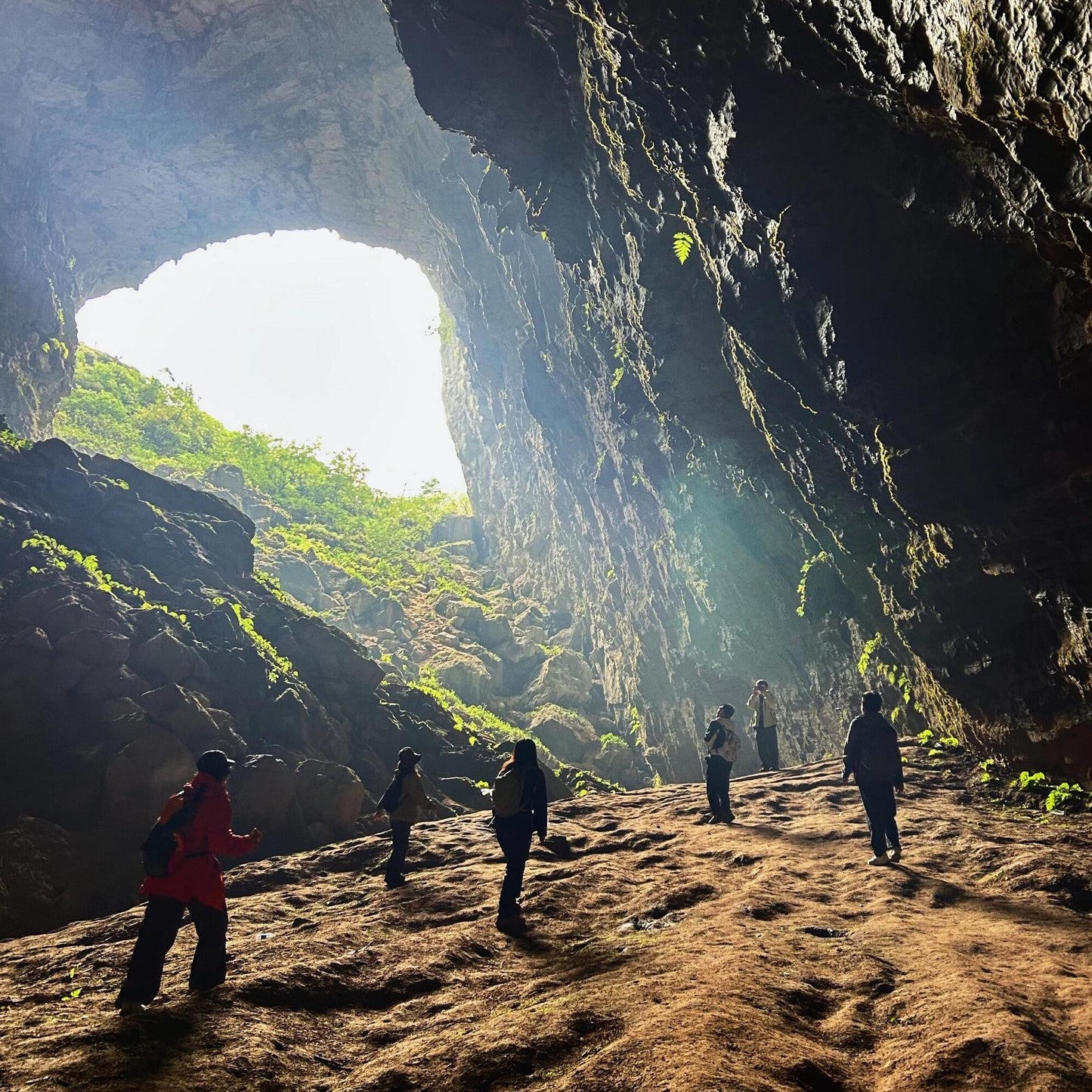1-Day Zhangjiajie Binglang Valley Private Hiking Highlights