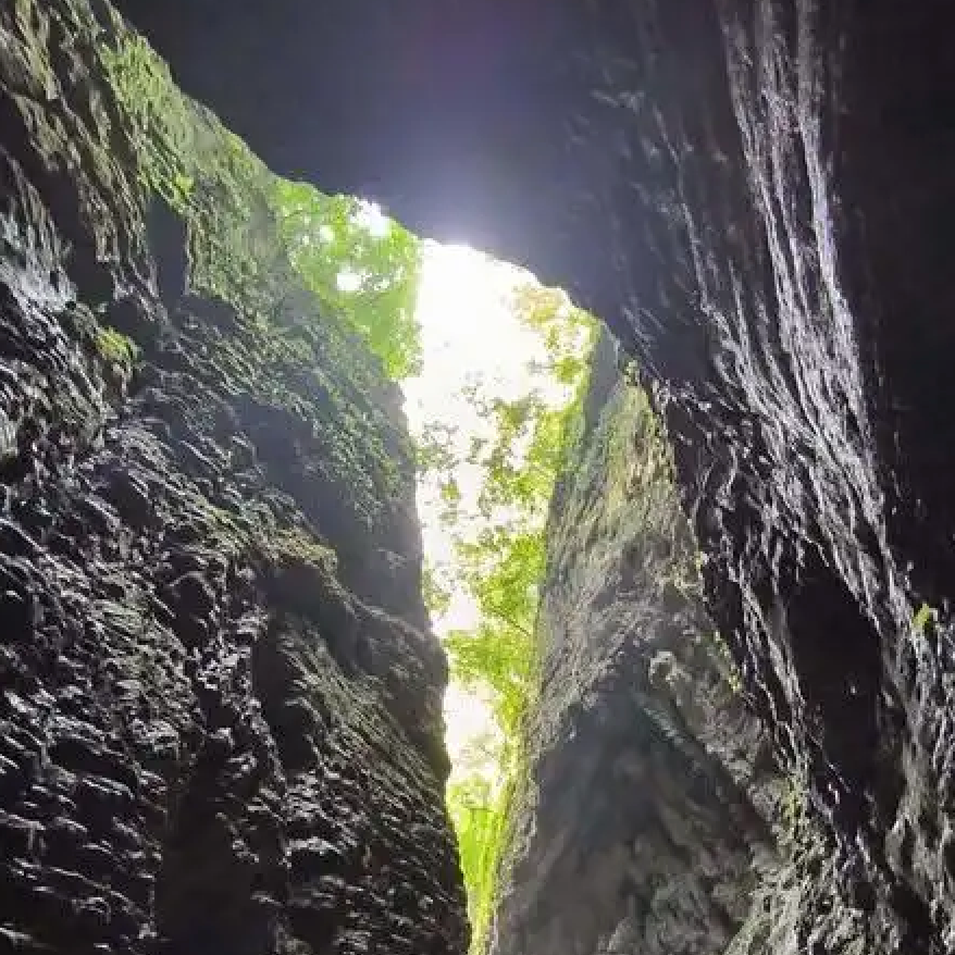 Lo más destacado de la excursión privada de un día al Valle de Binglang de Zhangjiajie