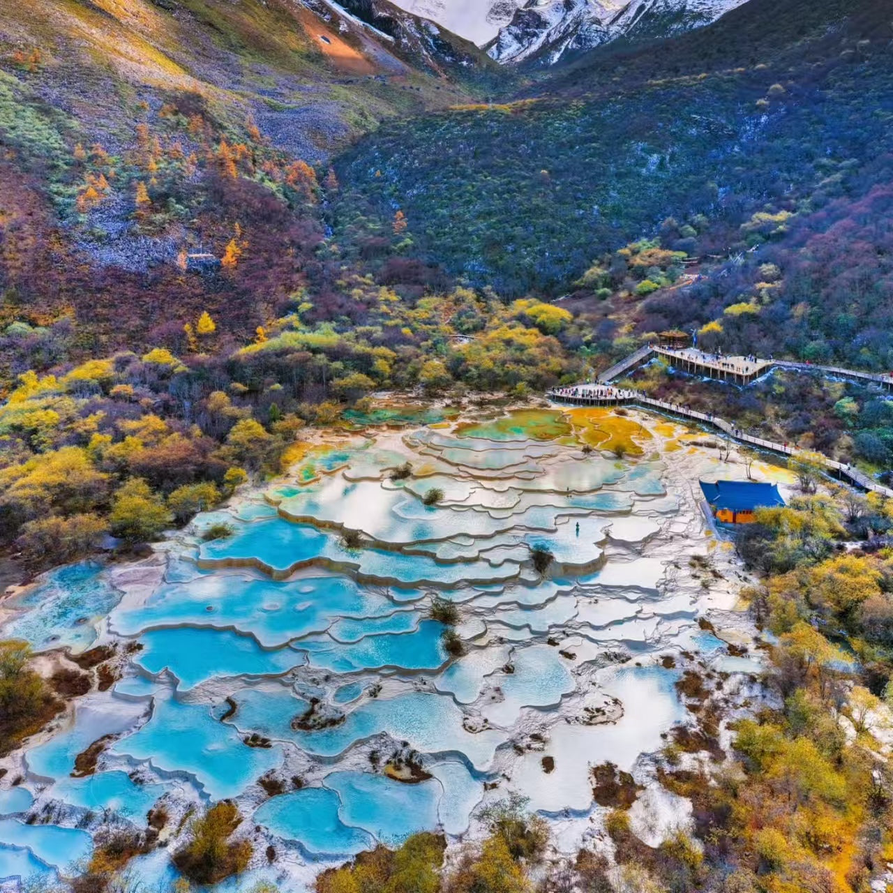 9 Days 8 Nights | Departing from Chengdu to Chongqing's Mountain City! Experience Sichuan and Chongqing's Two Major Trendy Metropolises