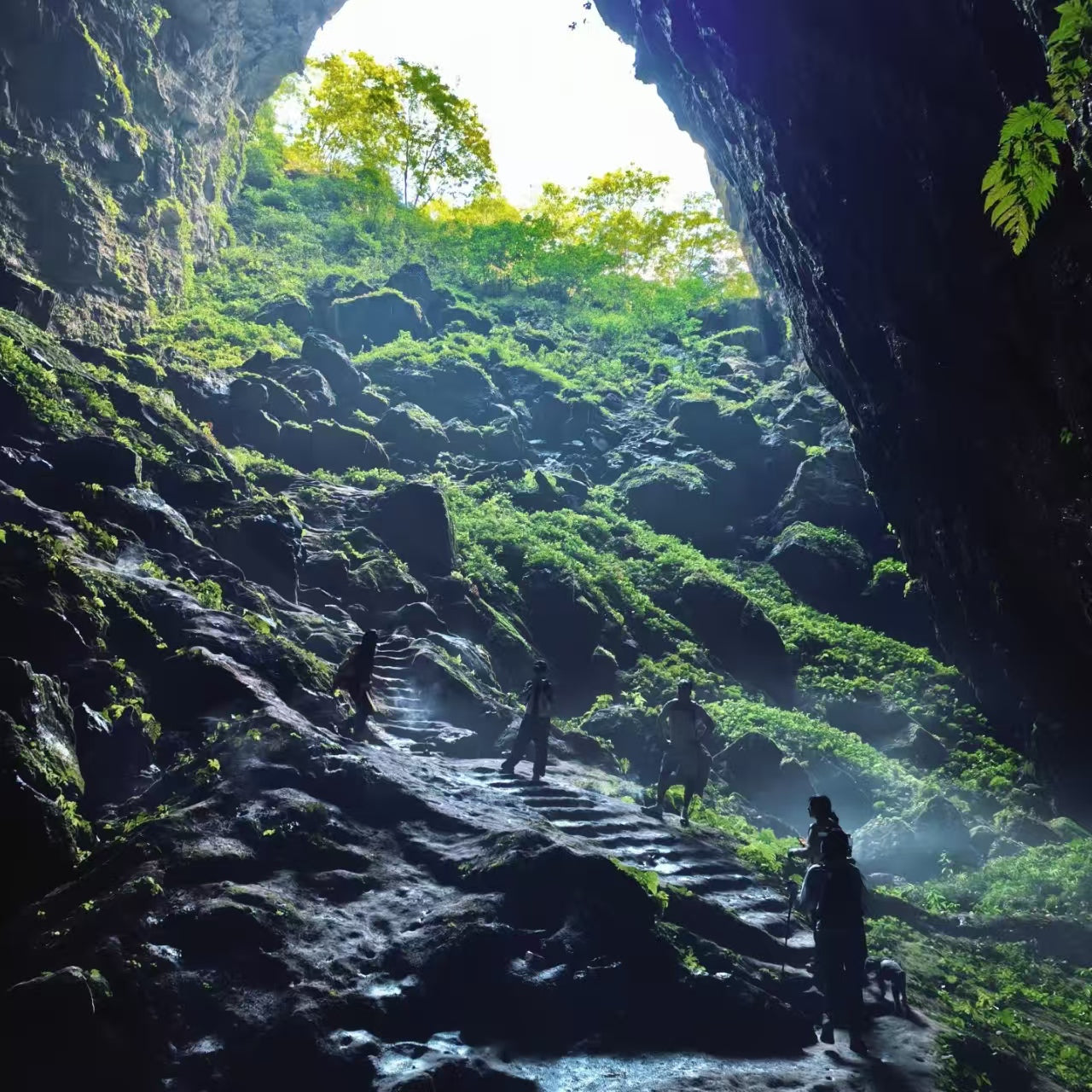 6 Days 5 Nights - Zhangjiajie Popular Tour: Immersive Unlock of World-Class Peak Forest Wonderland!
