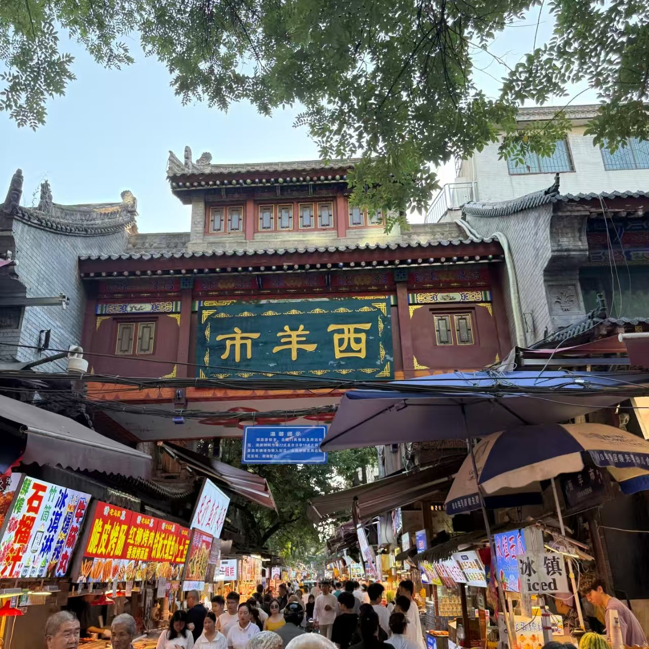 China’s Hidden Gem Route｜21 Days 20 Nights: Breathtaking Peak Forests, Mountain-City Night Views & Timeless Historic Sites All in One Trip